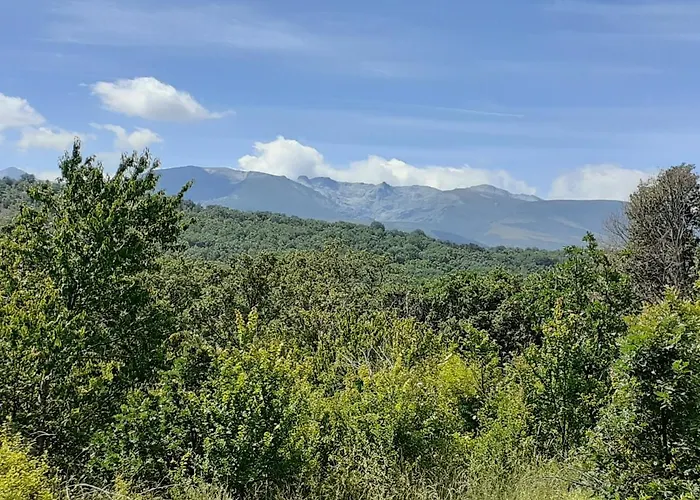 Al Patio 샬레 Los Loros